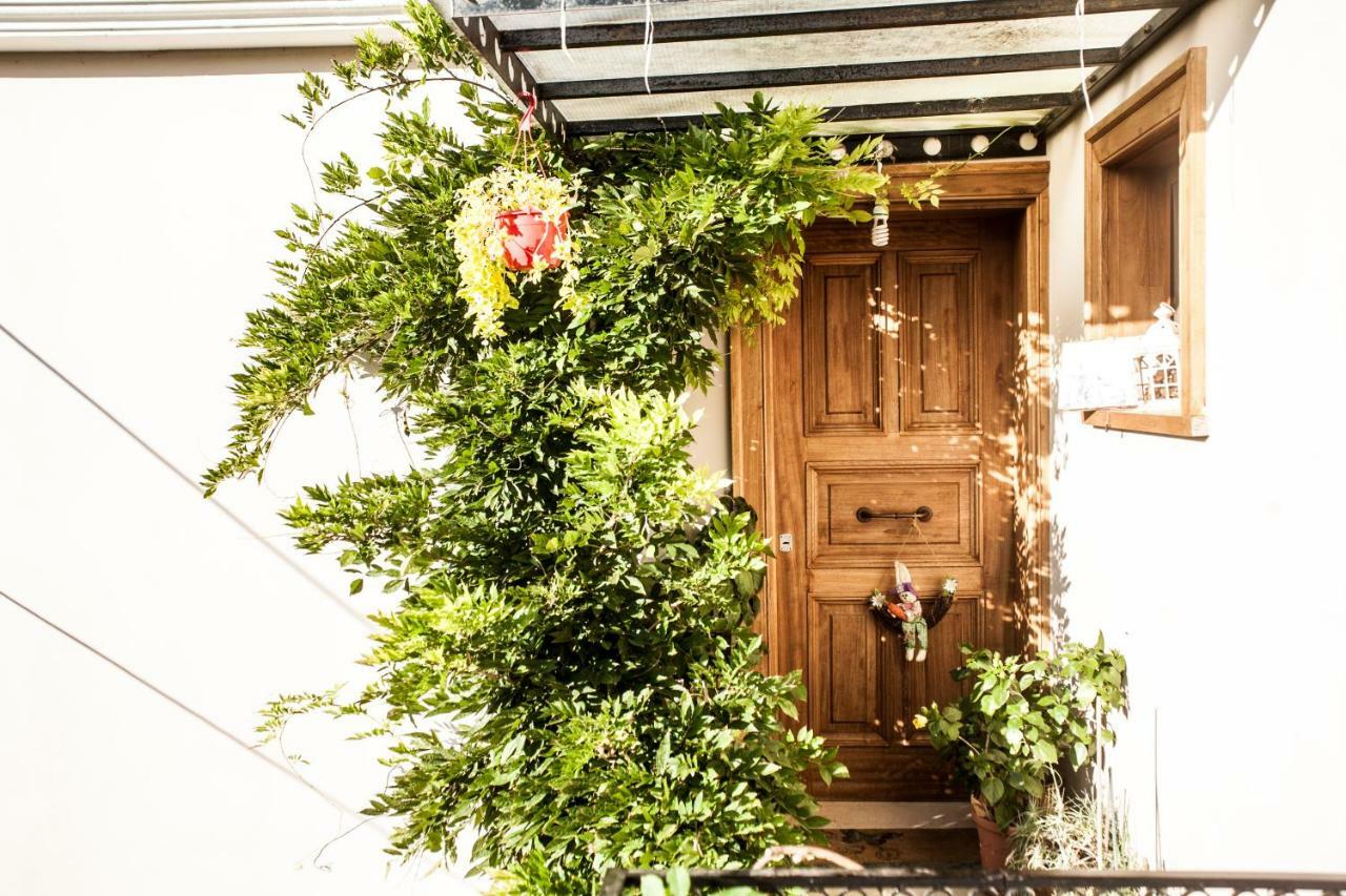 La Casa Di Caterina: Nature,Relax And Private Garden Lefkada City Exterior photo