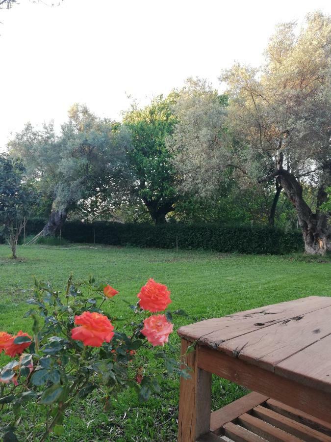 La Casa Di Caterina: Nature,Relax And Private Garden Lefkada City Exterior photo